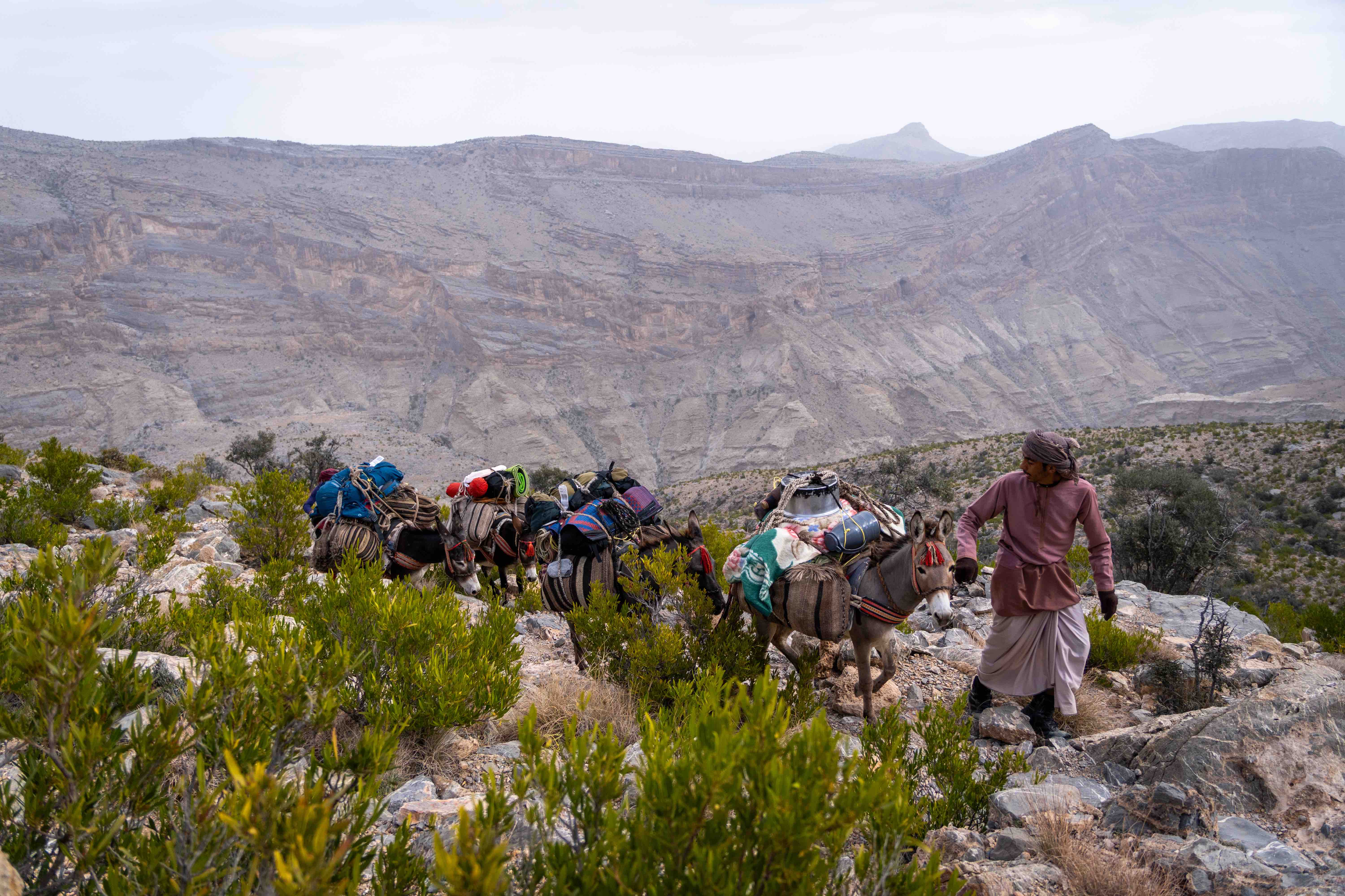 donkey caravan