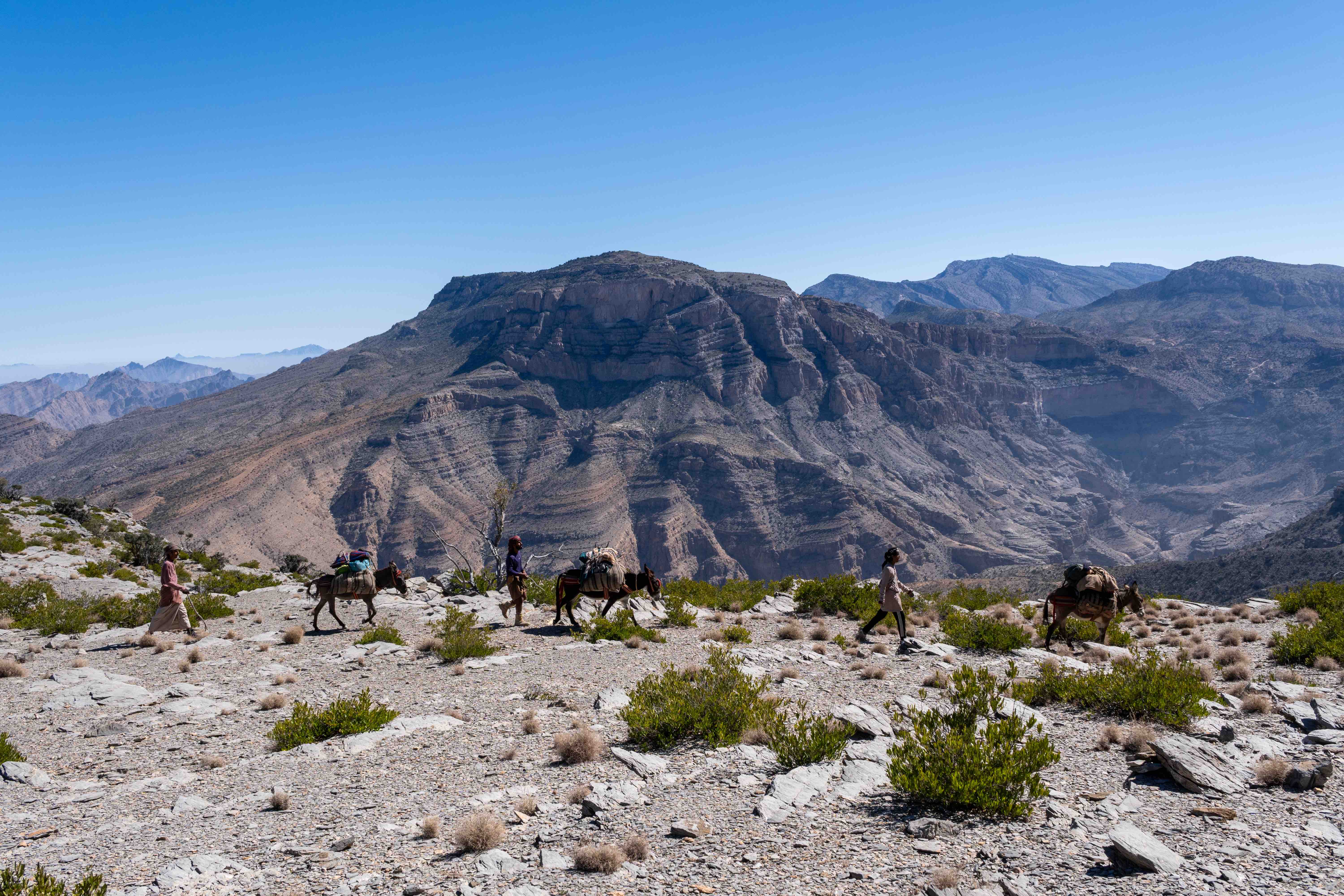 donkey caravan